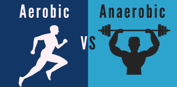 Aerobic-vs-Muscular_Endurance