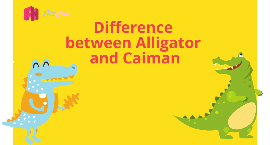 Difference between Alligator and Caiman