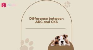 Difference Between AKC and CKC