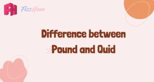 Difference between Pound and Quid